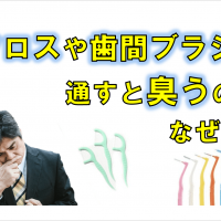 群馬 歯科 前橋 高崎 伊勢崎 桐生 太田 フロス 歯間ブラシ 歯磨き臭い