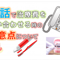 歯科 群馬 前橋 高崎 伊勢崎 桐生 太田 自費診療 保険外診療 値段 価格 費用