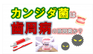 歯科 群馬 前橋 高崎 伊勢崎 桐生 太田 歯周病の原因 カンジダ菌 真菌 歯周内科 ペリオバスター